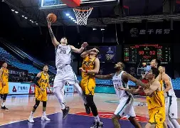 南宫- 山东男篮直播免费观看 