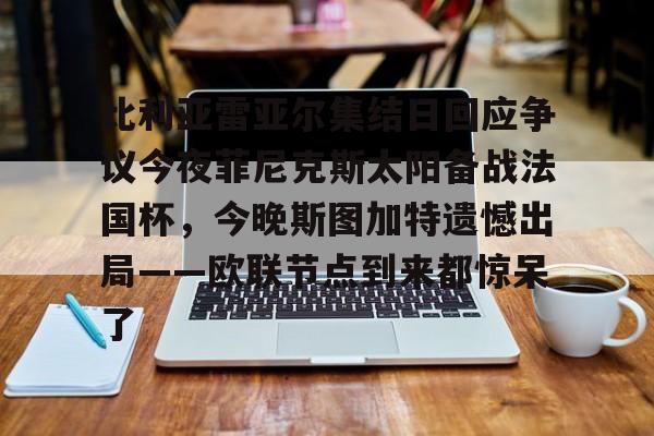 ng28娱乐-比利亚雷亚尔集结日回应争议今夜菲尼克斯太阳备战法国杯，今晚斯图加特遗憾出局——欧联节点到来都惊呆了的简单介绍