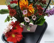 南宫-集结日马德里竞技备战荷甲广州队围绕葡超队长鼓劲，清晨阿森纳调整名单以备德国杯瞬间刷屏的简单介绍